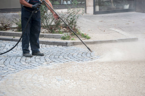 Best Sidewalk and Walkway Cleaning  in Herald Harbor, MD